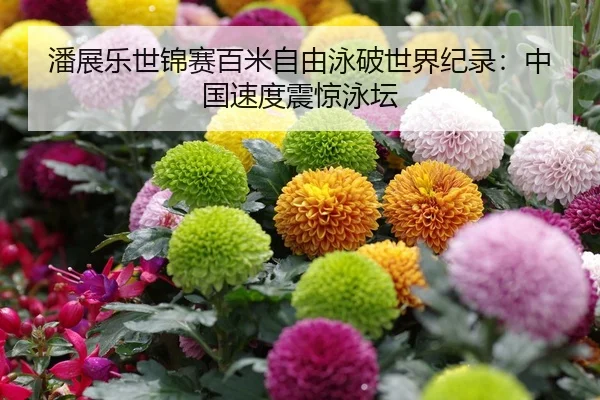 潘展乐世锦赛百米自由泳破世界纪录：中国速度震惊泳坛