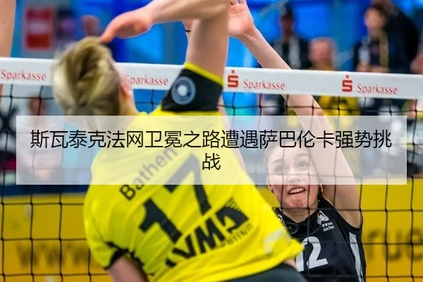 si-wa-tai-ke-fa-wang-wei-mian-zhi-lu-zao-yu-sa-ba-lun-ka-qiang-shi-tiao-zhan-3-225.jpg