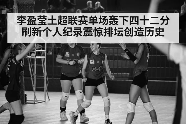 Turkish volleyball league match